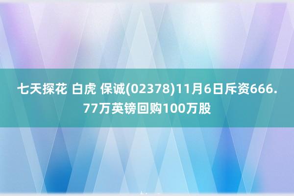 七天探花 白虎 保诚(02378)11月6日斥资666.77万英镑回购100万股