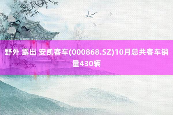 野外 露出 安凯客车(000868.SZ)10月总共客车销量430辆