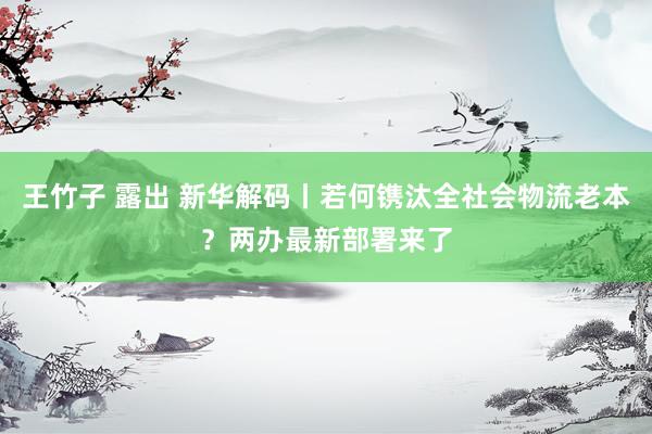 王竹子 露出 新华解码丨若何镌汰全社会物流老本？两办最新部署来了