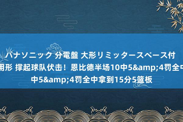 パナソニック 分電盤 大形リミッタースペース付 露出・半埋込両用形 撑起球队伏击！恩比德半场10中5&4罚全中拿到15分5篮板