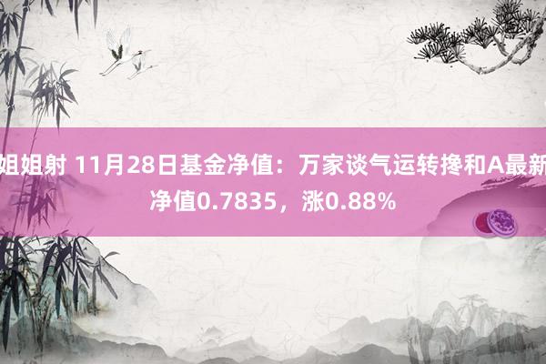 姐姐射 11月28日基金净值：万家谈气运转搀和A最新净值0.7835，涨0.88%