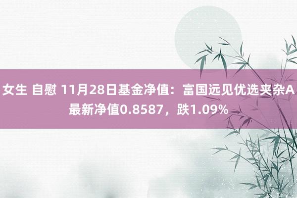 女生 自慰 11月28日基金净值：富国远见优选夹杂A最新净值0.8587，跌1.09%