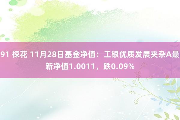 91 探花 11月28日基金净值：工银优质发展夹杂A最新净值1.0011，跌0.09%