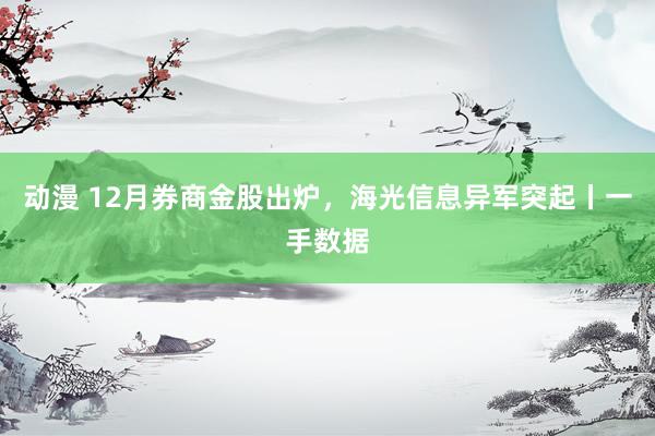 动漫 12月券商金股出炉，海光信息异军突起丨一手数据