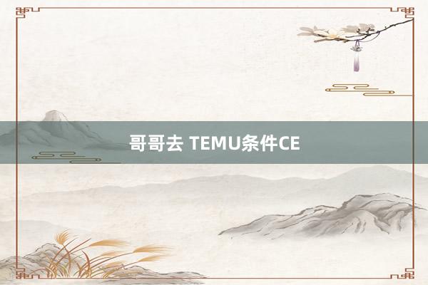 哥哥去 TEMU条件CE