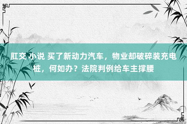 肛交 小说 买了新动力汽车，物业却破碎装充电桩，何如办？法院判例给车主撑腰