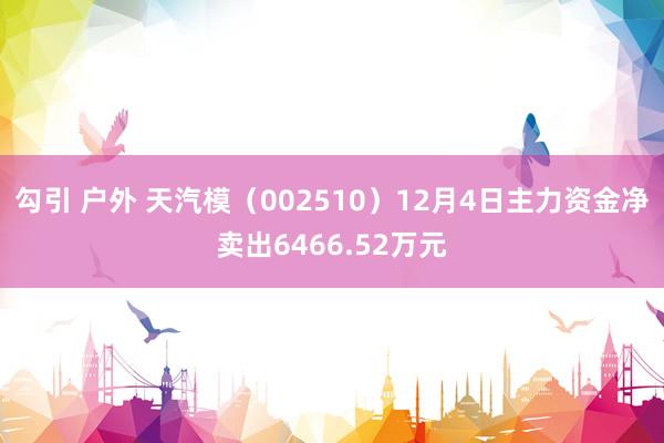 勾引 户外 天汽模（002510）12月4日主力资金净卖出6466.52万元