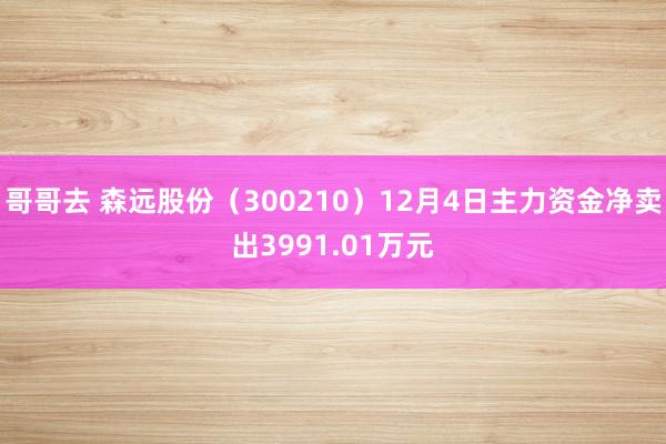 哥哥去 森远股份（300210）12月4日主力资金净卖出3991.01万元