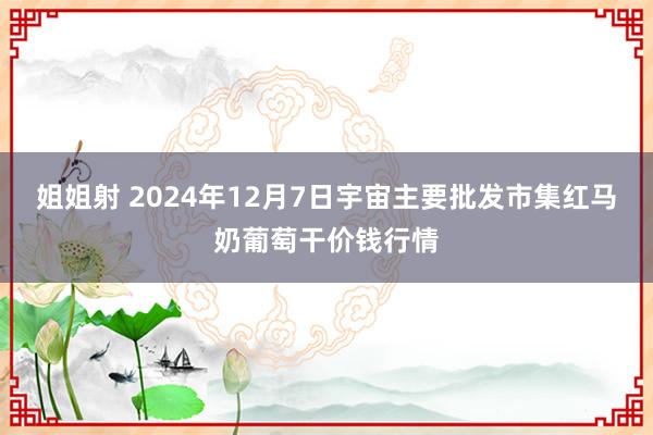 姐姐射 2024年12月7日宇宙主要批发市集红马奶葡萄干价钱行情