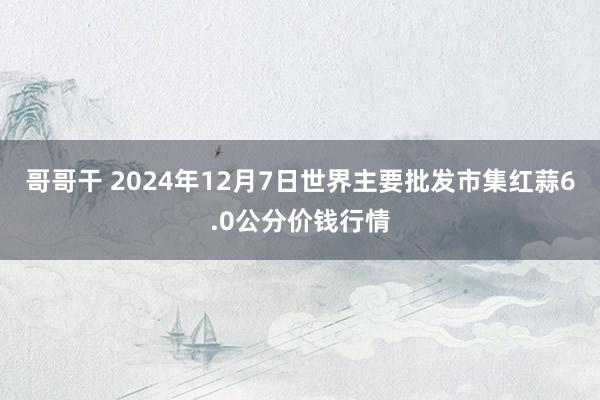 哥哥干 2024年12月7日世界主要批发市集红蒜6.0公分价钱行情