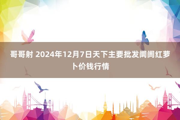 哥哥射 2024年12月7日天下主要批发阛阓红萝卜价钱行情