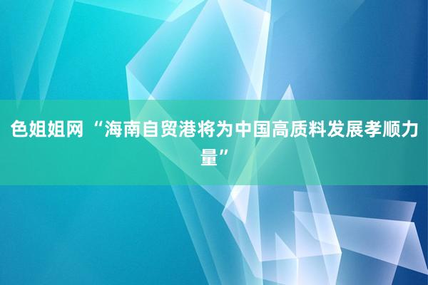 色姐姐网 “海南自贸港将为中国高质料发展孝顺力量”