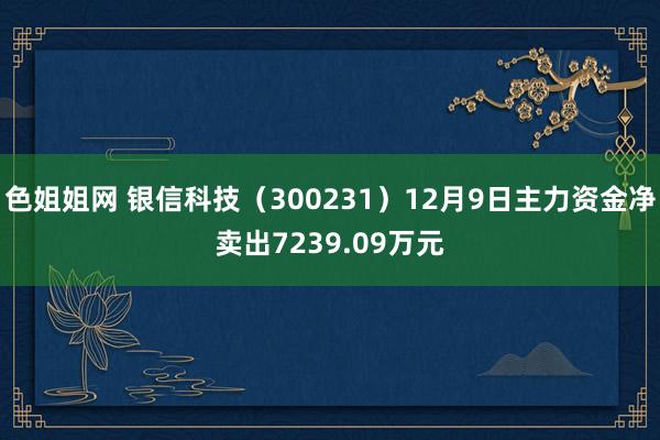 色姐姐网 银信科技（300231）12月9日主力资金净卖出7239.09万元