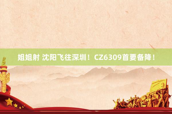 姐姐射 沈阳飞往深圳！CZ6309首要备降！