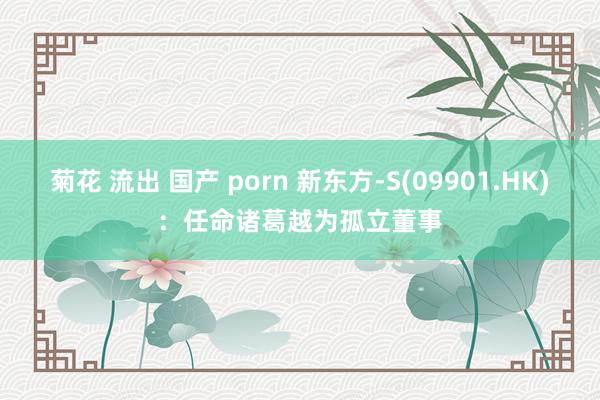 菊花 流出 国产 porn 新东方-S(09901.HK)：任命诸葛越为孤立董事