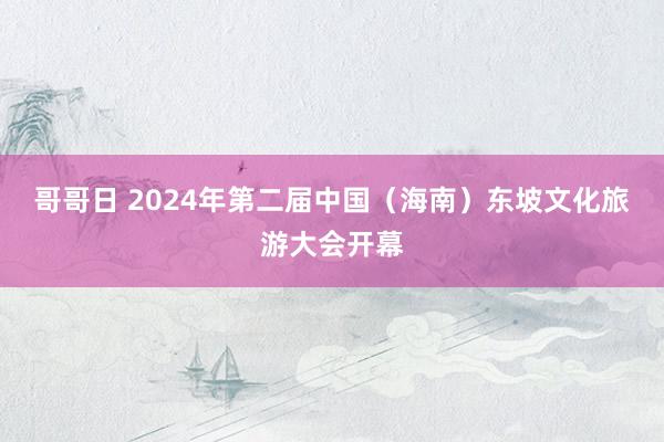 哥哥日 2024年第二届中国（海南）东坡文化旅游大会开幕