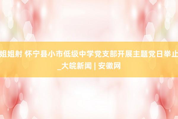 姐姐射 怀宁县小市低级中学党支部开展主题党日举止_大皖新闻 | 安徽网