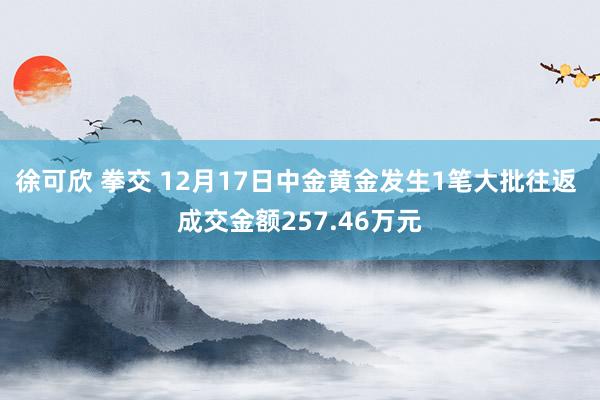 徐可欣 拳交 12月17日中金黄金发生1笔大批往返 成交金额257.46万元