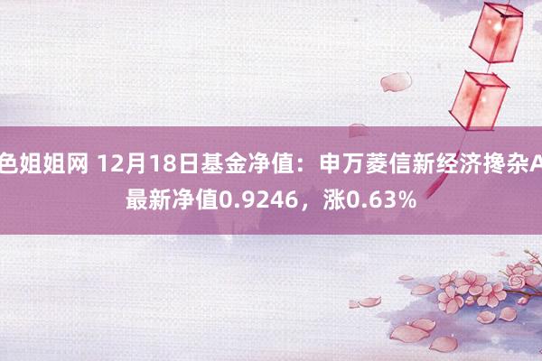 色姐姐网 12月18日基金净值：申万菱信新经济搀杂A最新净值0.9246，涨0.63%