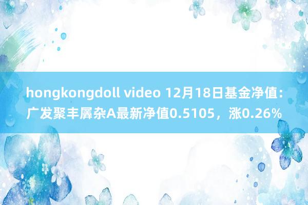 hongkongdoll video 12月18日基金净值：广发聚丰羼杂A最新净值0.5105，涨0.26%