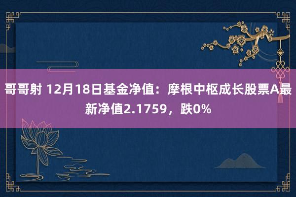 哥哥射 12月18日基金净值：摩根中枢成长股票A最新净值2.1759，跌0%