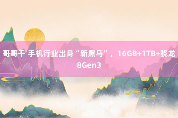 哥哥干 手机行业出身“新黑马”，16GB+1TB+骁龙8Gen3