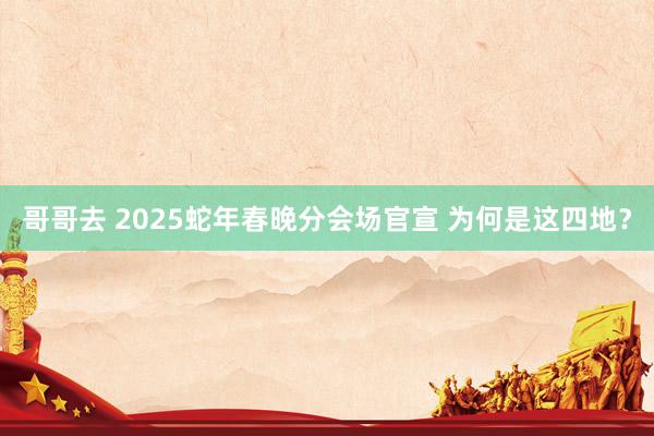 哥哥去 2025蛇年春晚分会场官宣 为何是这四地？