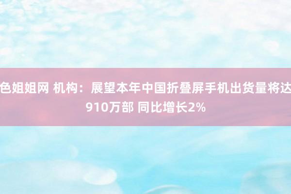 色姐姐网 机构：展望本年中国折叠屏手机出货量将达910万部 同比增长2%