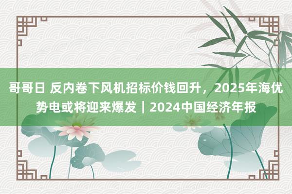 哥哥日 反内卷下风机招标价钱回升，2025年海优势电或将迎来爆发｜2024中国经济年报