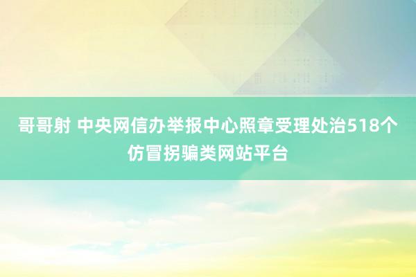 哥哥射 中央网信办举报中心照章受理处治518个仿冒拐骗类网站平台