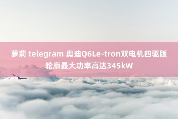 萝莉 telegram 奥迪Q6Le-tron双电机四驱版轮廓最大功率高达345kW