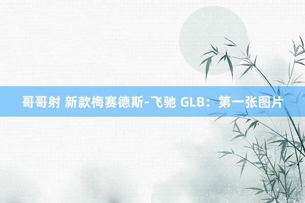 哥哥射 新款梅赛德斯-飞驰 GLB：第一张图片