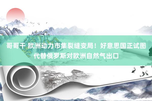 哥哥干 欧洲动力市集裂缝变局！好意思国正试图代替俄罗斯对欧洲自然气出口