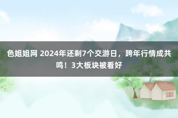 色姐姐网 2024年还剩7个交游日，跨年行情成共鸣！3大板块被看好