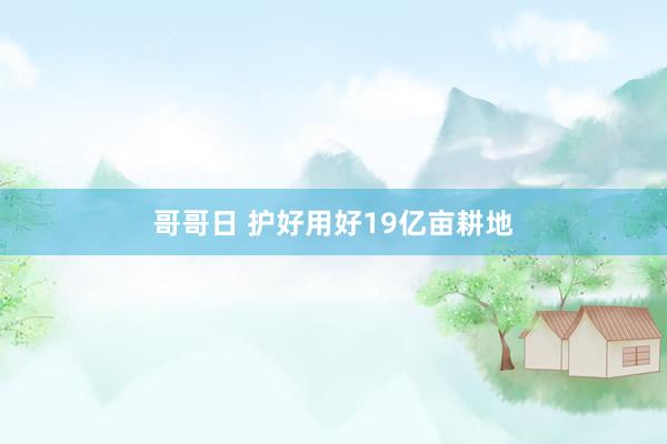 哥哥日 护好用好19亿亩耕地