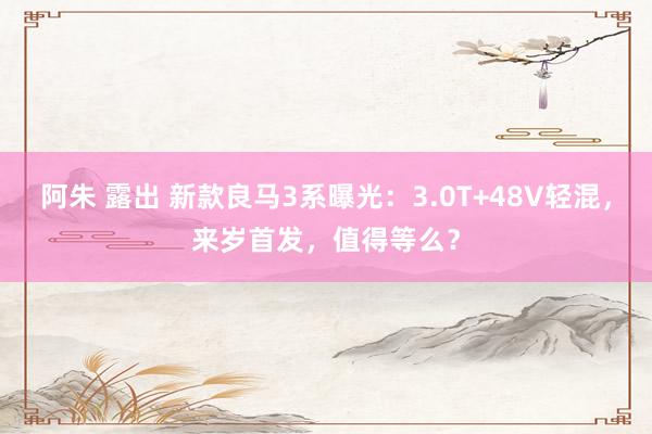 阿朱 露出 新款良马3系曝光：3.0T+48V轻混，来岁首发，值得等么？