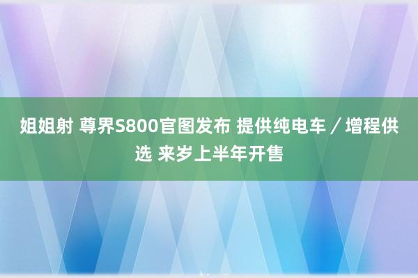 姐姐射 尊界S800官图发布 提供纯电车／增程供选 来岁上半年开售