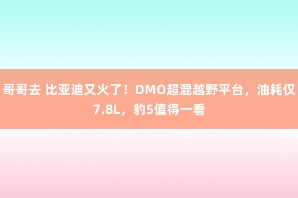 哥哥去 比亚迪又火了！DMO超混越野平台，油耗仅7.8L，豹5值得一看