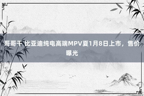 哥哥干 比亚迪纯电高端MPV夏1月8日上市，售价曝光