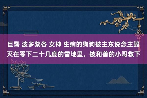 巨臀 波多黎各 女神 生病的狗狗被主东说念主毁灭在零下二十几度的雪地里，被和善的小哥救下