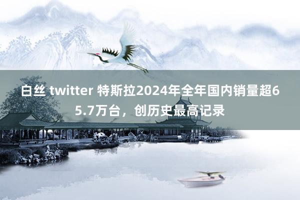 白丝 twitter 特斯拉2024年全年国内销量超65.7万台，创历史最高记录