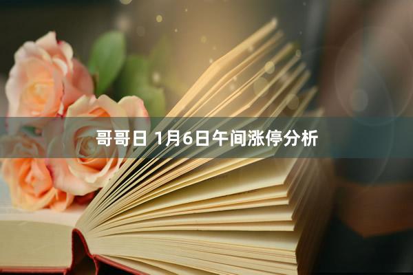 哥哥日 1月6日午间涨停分析