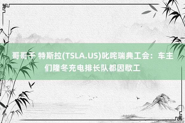 哥哥干 特斯拉(TSLA.US)叱咤瑞典工会：车主们隆冬充电排长队都因歇工