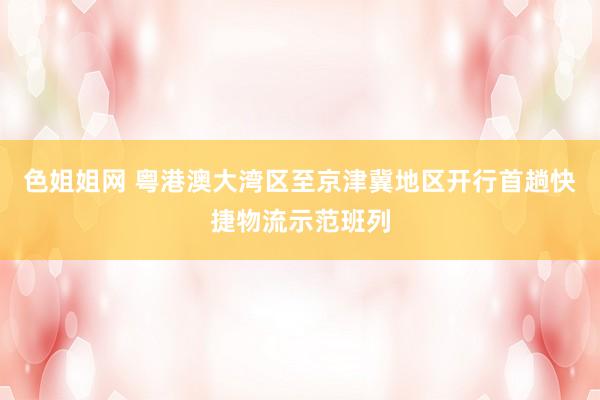 色姐姐网 粤港澳大湾区至京津冀地区开行首趟快捷物流示范班列