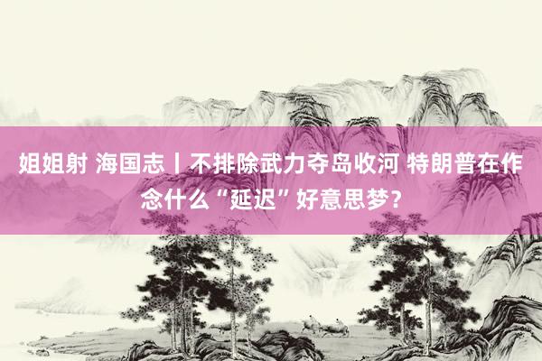 姐姐射 海国志丨不排除武力夺岛收河 特朗普在作念什么“延迟”好意思梦？