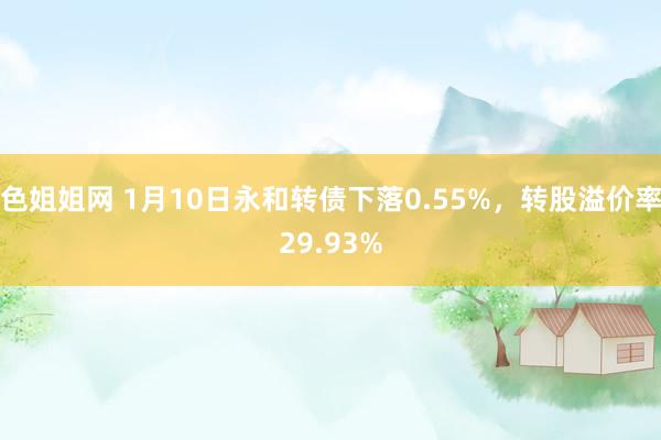 色姐姐网 1月10日永和转债下落0.55%，转股溢价率29.93%