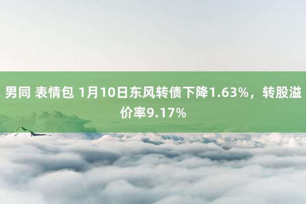 男同 表情包 1月10日东风转债下降1.63%，转股溢价率9.17%