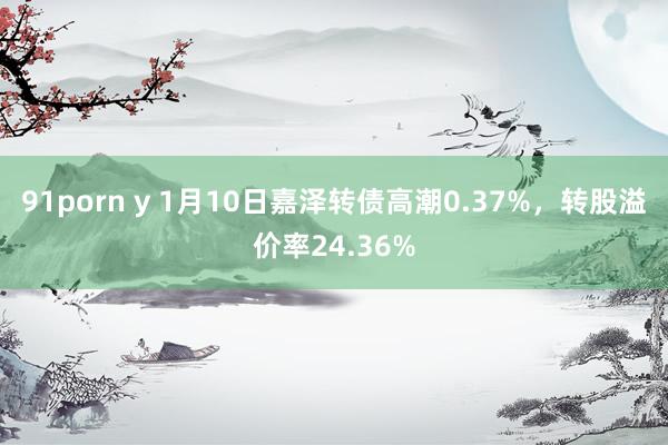 91porn y 1月10日嘉泽转债高潮0.37%，转股溢价率24.36%