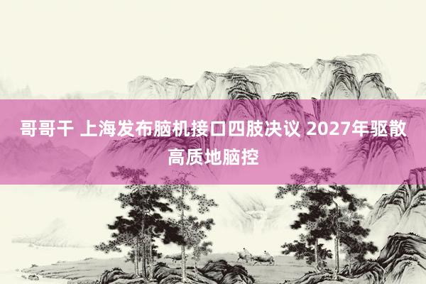 哥哥干 上海发布脑机接口四肢决议 2027年驱散高质地脑控