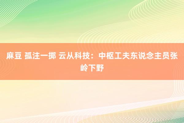 麻豆 孤注一掷 云从科技：中枢工夫东说念主员张岭下野